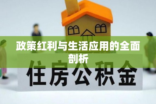 玉井政策红利与生活应用的全面剖析