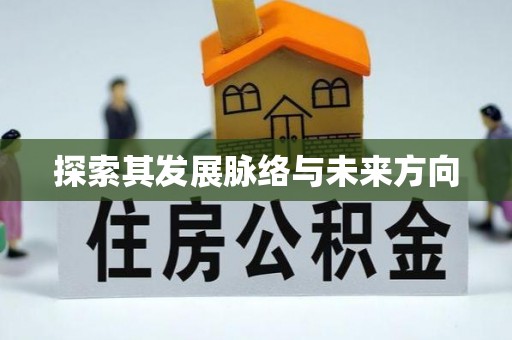 玉井探索其发展脉络与未来方向