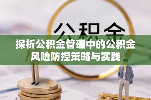 玉井探析公积金管理中的公积金风险防控策略与实践