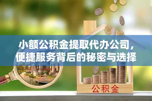 玉井小额公积金提取代办公司，便捷服务背后的秘密与选择指南