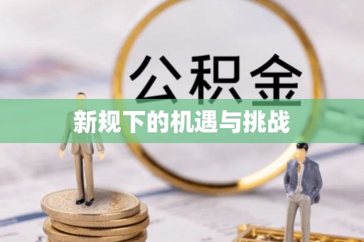 玉井新规下的机遇与挑战