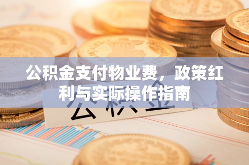 玉井公积金支付物业费，政策红利与实际操作指南