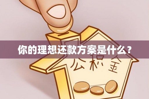 玉井你的理想还款方案是什么？