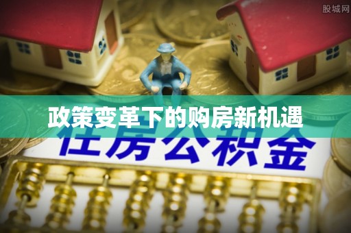 玉井政策变革下的购房新机遇