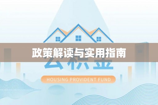 玉井政策解读与实用指南