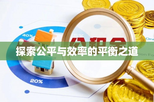 玉井探索公平与效率的平衡之道