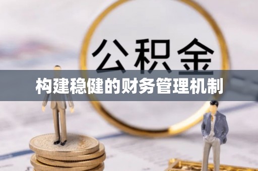 玉井构建稳健的财务管理机制