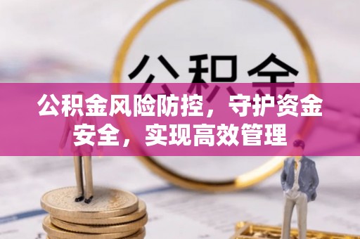 玉井公积金风险防控，守护资金安全，实现高效管理