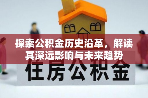 玉井探索公积金历史沿革，解读其深远影响与未来趋势