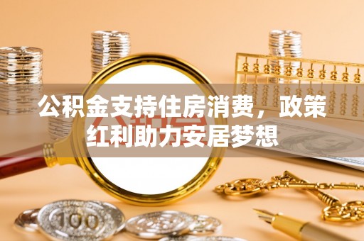 玉井公积金支持住房消费，政策红利助力安居梦想