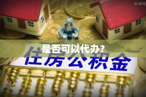 玉井是否可以代办？