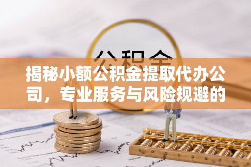 玉井揭秘小额公积金提取代办公司，专业服务与风险规避的平衡艺术