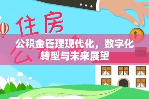 玉井公积金管理现代化，数字化转型与未来展望