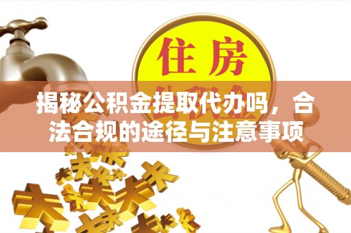 玉井揭秘公积金提取代办吗，合法合规的途径与注意事项