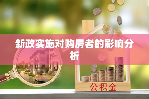 玉井新政实施对购房者的影响分析