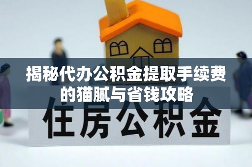 玉井揭秘代办公积金提取手续费的猫腻与省钱攻略