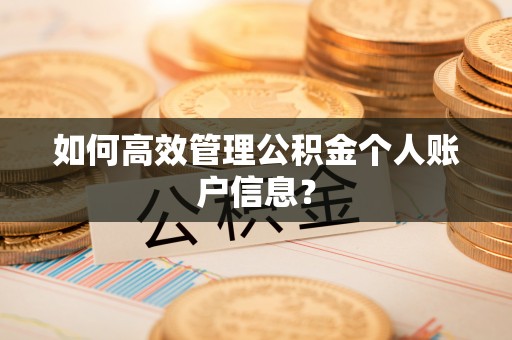 玉井如何高效管理公积金个人账户信息？