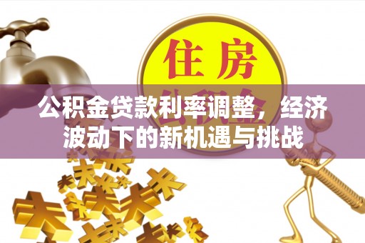 玉井公积金贷款利率调整，经济波动下的新机遇与挑战