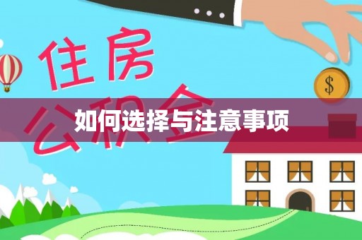 玉井如何选择与注意事项