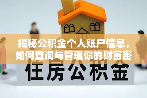 玉井揭秘公积金个人账户信息，如何查询与管理你的财富密码
