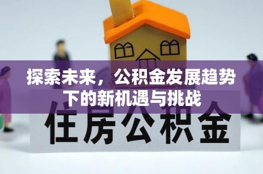 玉井探索未来，公积金发展趋势下的新机遇与挑战