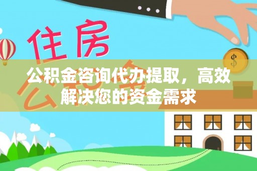 玉井公积金咨询代办提取，高效解决您的资金需求