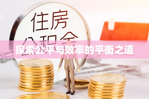 玉井探索公平与效率的平衡之道