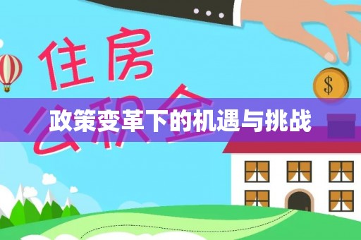 玉井政策变革下的机遇与挑战