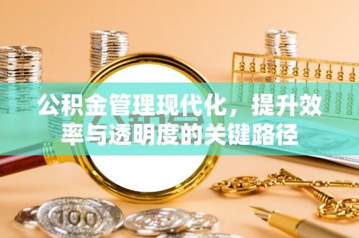 玉井公积金管理现代化，提升效率与透明度的关键路径