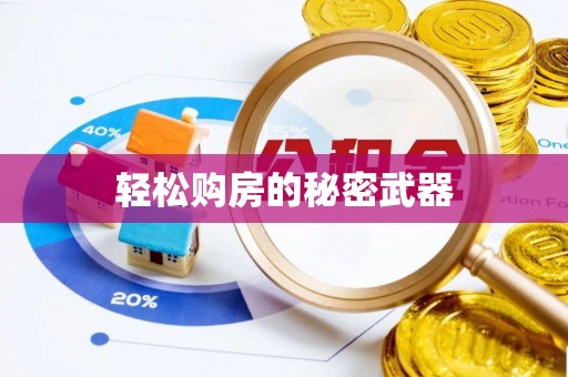 玉井轻松购房的秘密武器