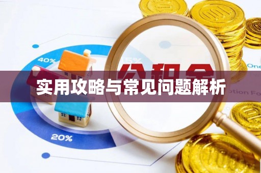 玉井实用攻略与常见问题解析