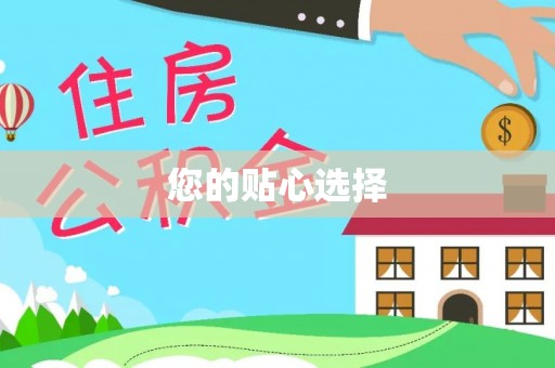 玉井您的贴心选择