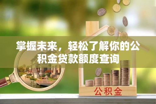 玉井掌握未来，轻松了解你的公积金贷款额度查询
