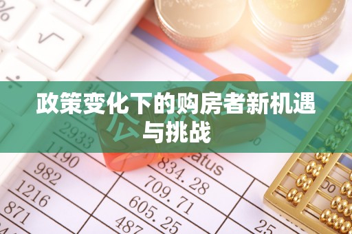 玉井政策变化下的购房者新机遇与挑战