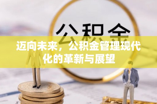 玉井迈向未来，公积金管理现代化的革新与展望