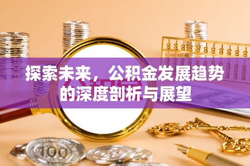 玉井探索未来，公积金发展趋势的深度剖析与展望