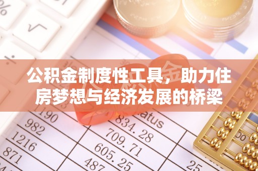 玉井公积金制度性工具，助力住房梦想与经济发展的桥梁