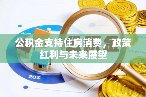 玉井公积金支持住房消费，政策红利与未来展望