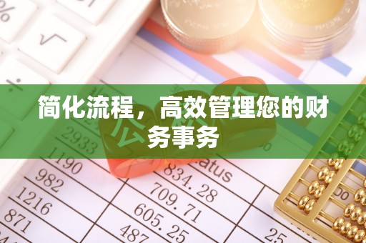 玉井简化流程，高效管理您的财务事务