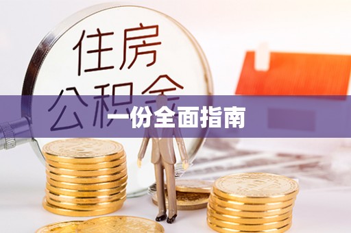 玉井一份全面指南
