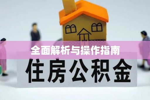 玉井全面解析与操作指南