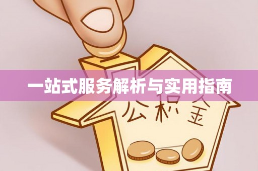 玉井一站式服务解析与实用指南