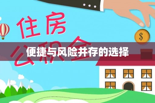 玉井便捷与风险并存的选择