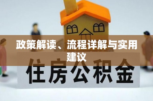 玉井政策解读、流程详解与实用建议