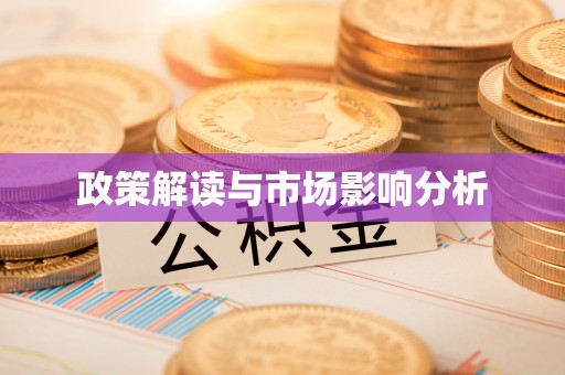 玉井政策解读与市场影响分析