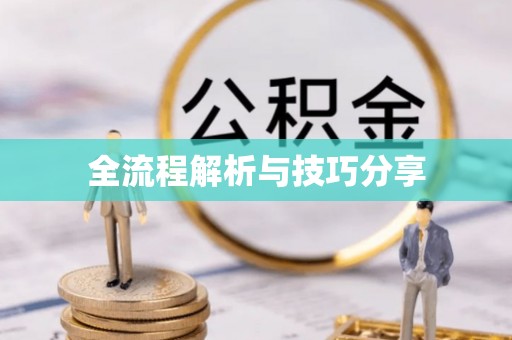 玉井全流程解析与技巧分享