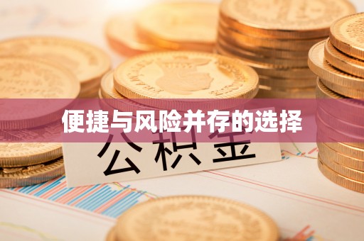 玉井便捷与风险并存的选择