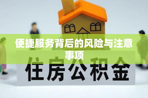 玉井便捷服务背后的风险与注意事项