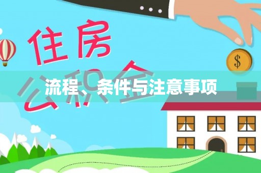 玉井流程、条件与注意事项